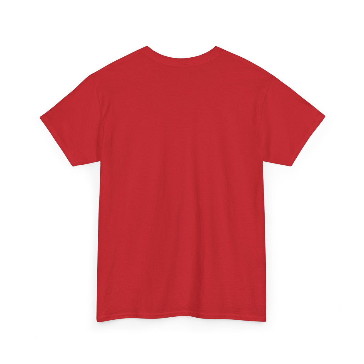 Professionally Lost Compass T-Shirt — Funny Hiking Shirt (“Est. Wrong Turn, Mile 3”)