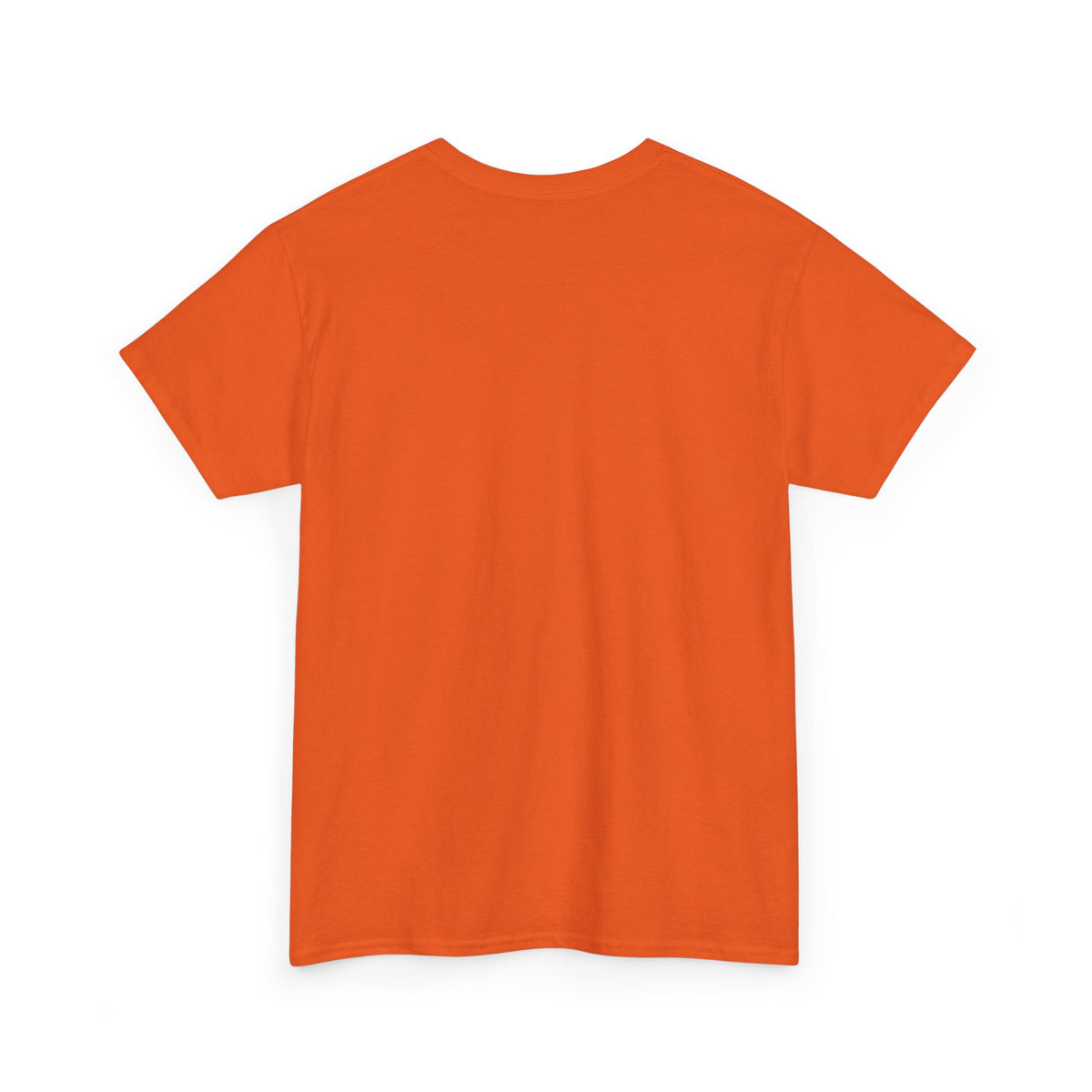 Professionally Lost Compass T-Shirt — Funny Hiking Shirt (“Est. Wrong Turn, Mile 3”)