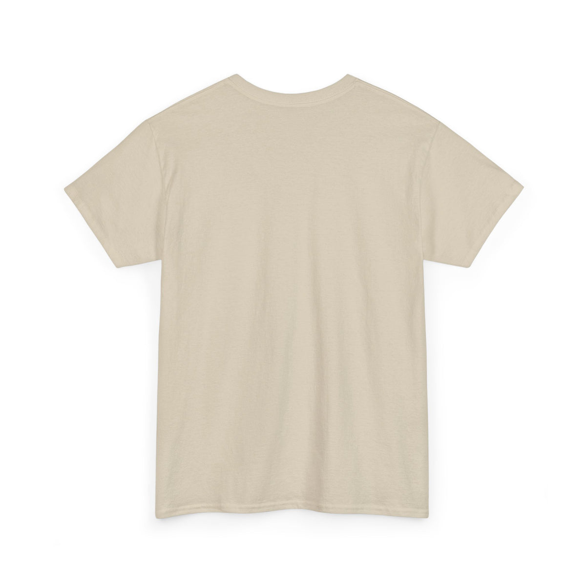 Professionally Lost Compass T-Shirt — Funny Hiking Shirt (“Est. Wrong Turn, Mile 3”)