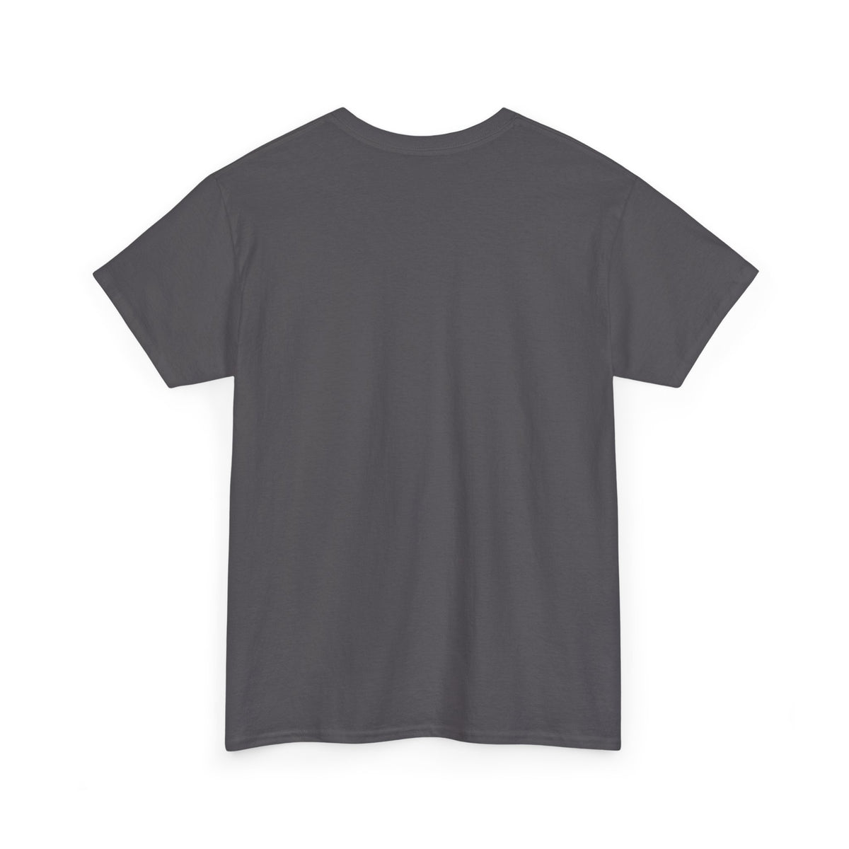Professionally Lost Compass T-Shirt — Funny Hiking Shirt (“Est. Wrong Turn, Mile 3”)